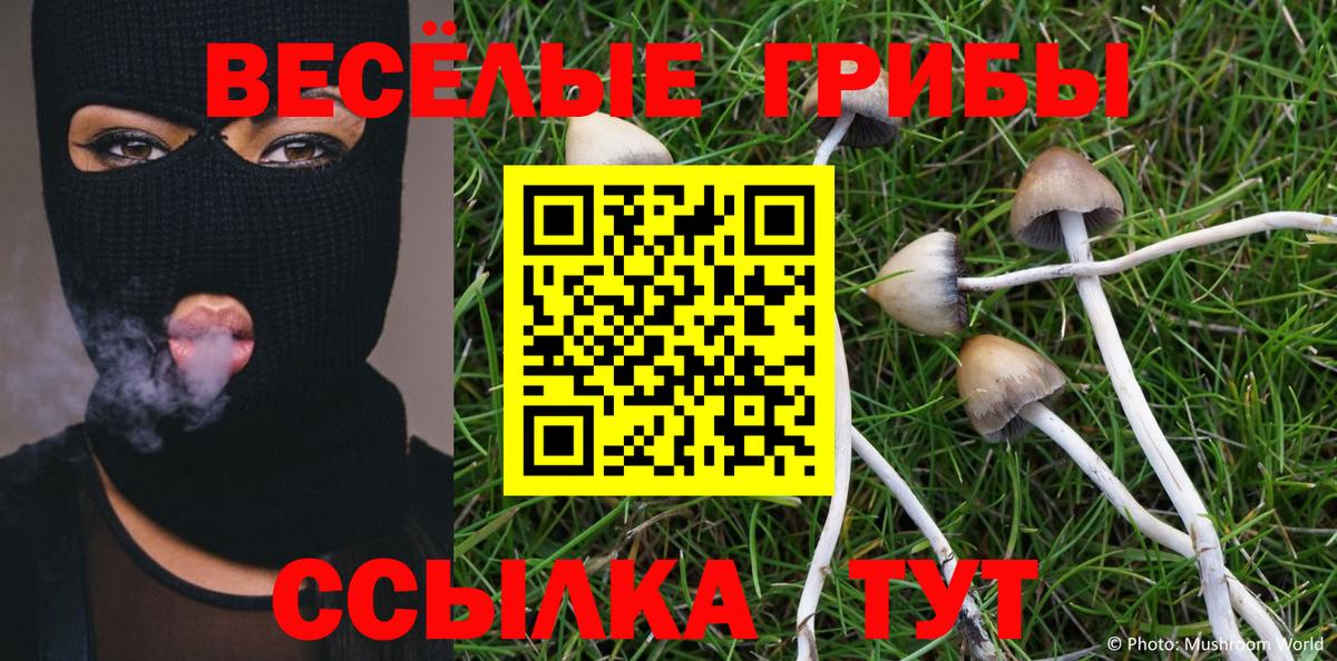 Галлюциногенные грибы мицелий Тулун