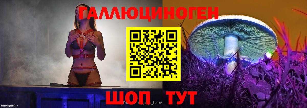Тулун  Псилоцибиновые грибы ЛСД  Псилоцибиновые грибы MAGIC MUSHROOMS  Вход с VPN 